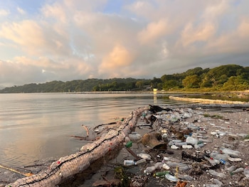 La tormenta tropical Cristina dejó miles de desechos sólidos flotando en la superficie del Lago de Ilopango. (Cortesía: ProLago de Ilopango)