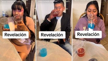 (TikTok @gasparale1993)