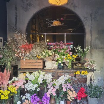 Brasero Atlántico, parte del nuevo