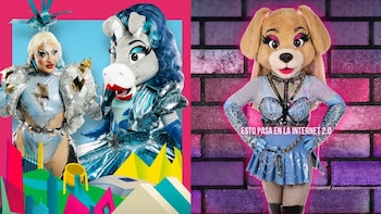 “La Perrita Perrona”: Momo Guzmán