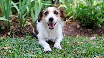 Imagen UP22C7XXXNB4HHUAMBUV5Z54IY