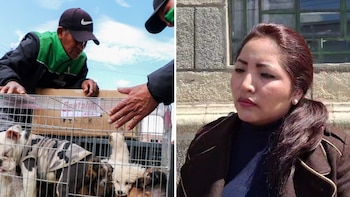 Composición: Infobae Perú