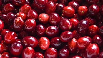 Así se deben consumir los