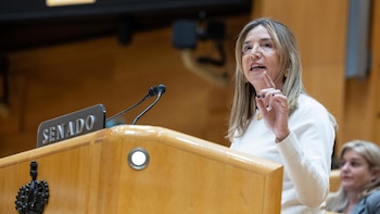 El PP pide la comparecencia