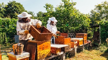 Santa Maria del Camí, el