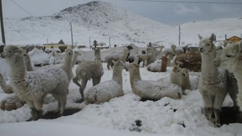 El descenso térmico nocturno será