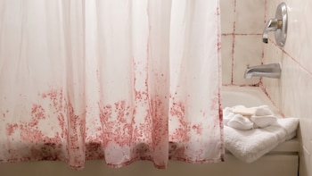 Por qué aparecen manchas rosadas en la cortina de la ducha y cómo eliminarlas