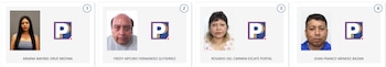 Cuatro paneles con fotografías de pasaporte de candidatos, un logo azul y amarillo con una "P", y sus nombres completos; dos hombres y dos mujeres