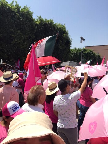 Marea Rosa en Guanajuato. Foto: