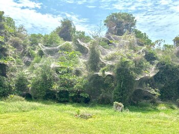 (Twitter: @antropoloca_)