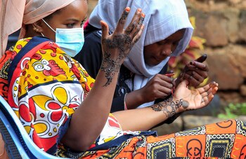 Los científicos reconstruyeron el árbol