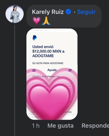 Sin utilizar muchas palabras, la