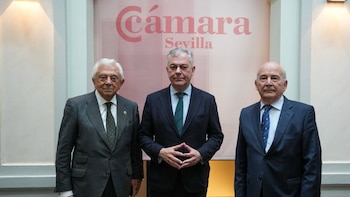 Sanz inicia el expediente para