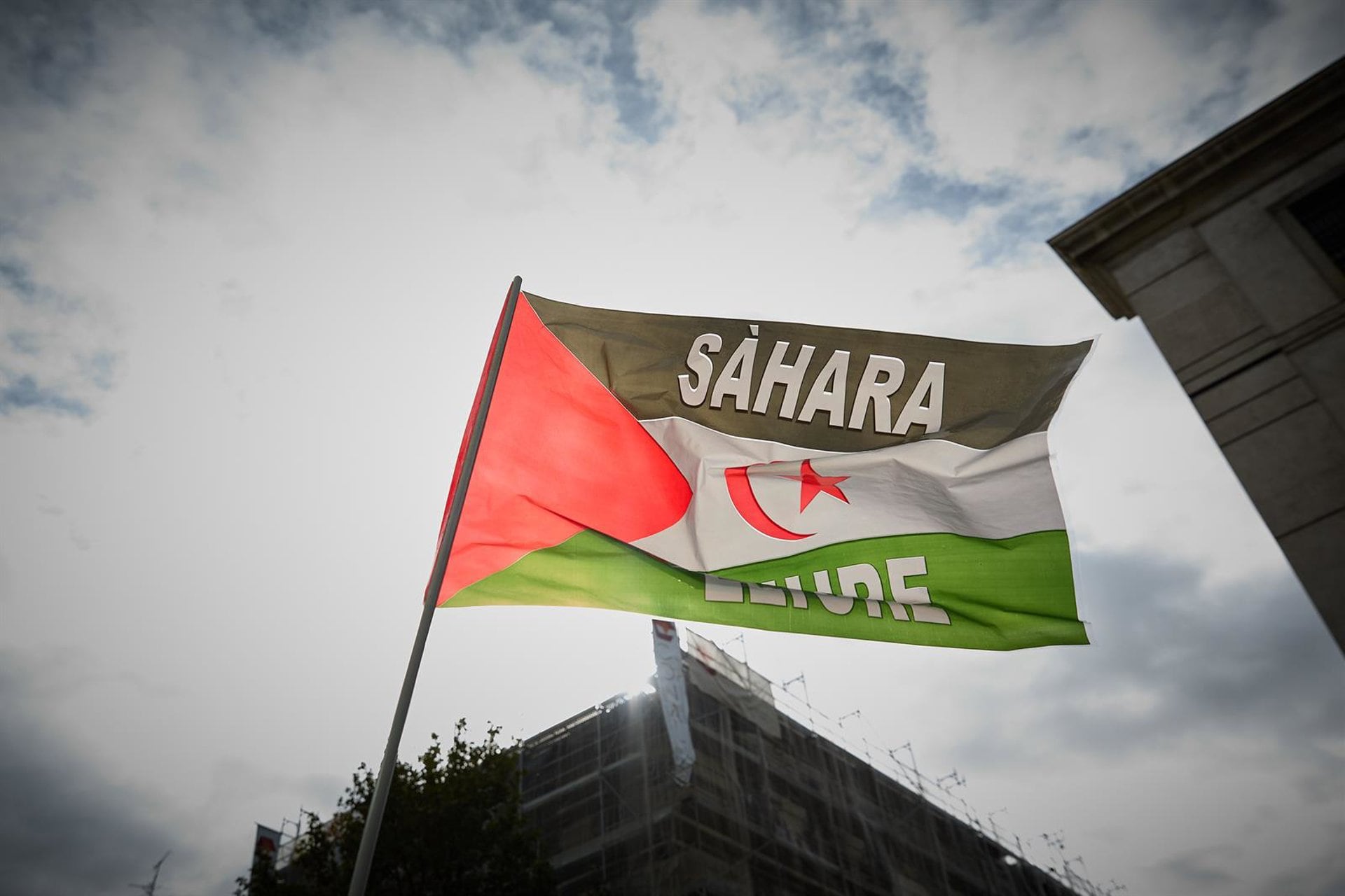 Una bandera durante una manifestación en apoyo al Sahara Occidental. (Jesús Hellín - Europa Press)
