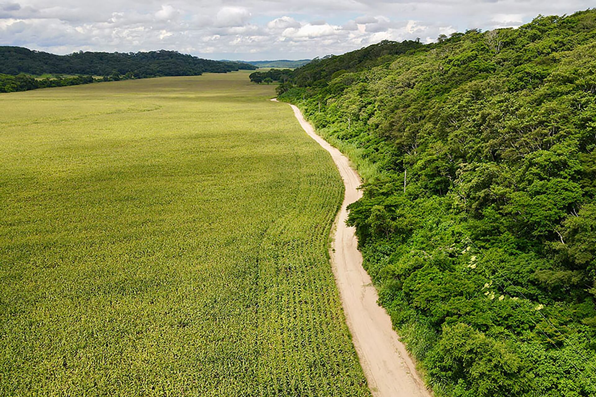 Imagen del predio Adán y Eva en el departamento de Santa Cruz, Bolivia. 25 de marzo de 2025. Foto: Connectas.