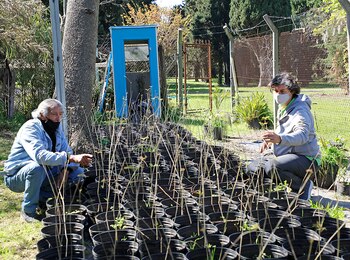Vivero de la Ciudad,