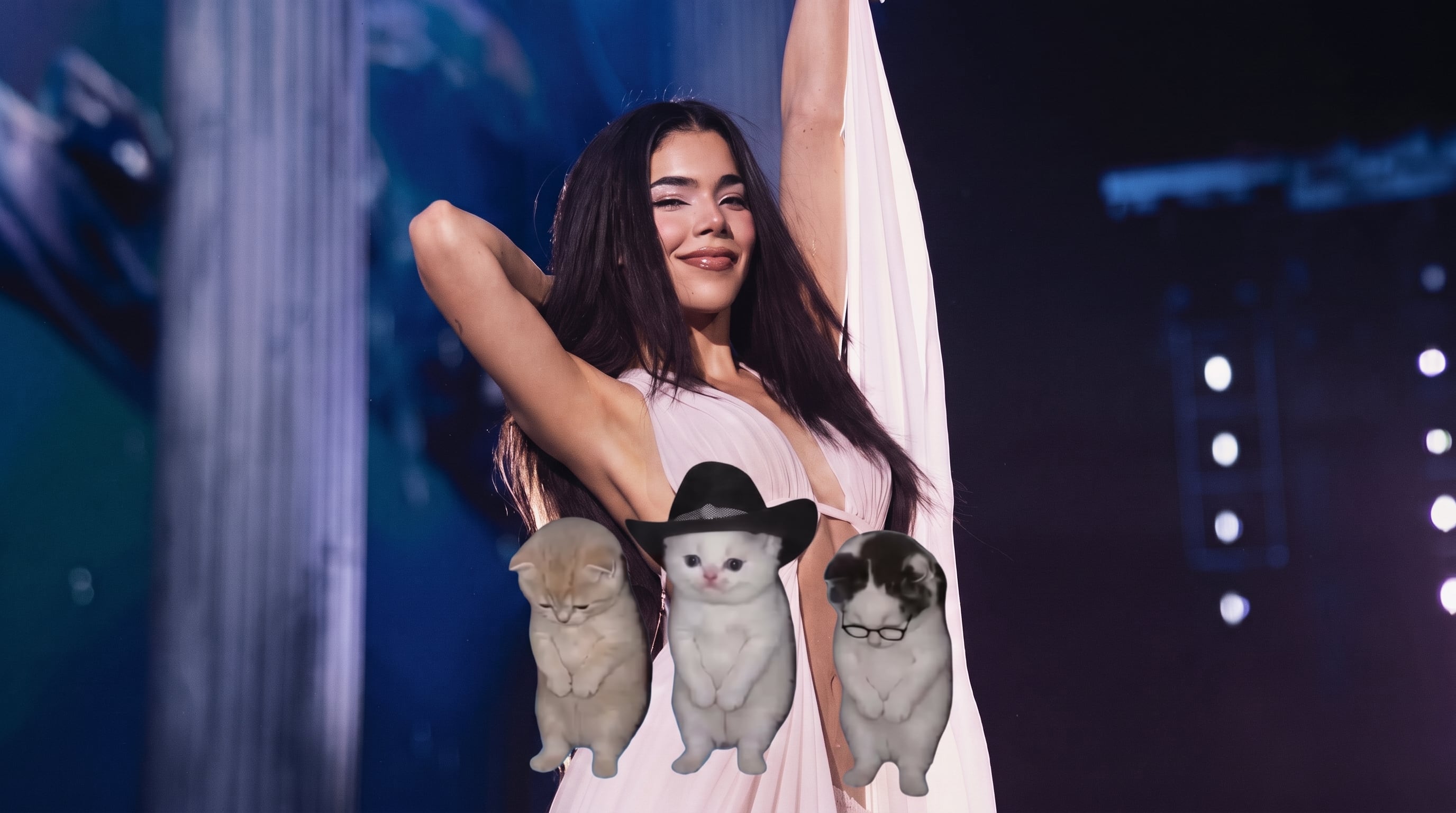 Un montaje digital presenta a una mujer vestida con un traje claro junto a tres imágenes superpuestas de gatos erguidos. (Montaje: @kenyaos/Anyma/Redes sociales)