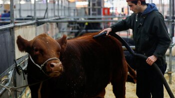 Javier Ezcurra, el jurado más
