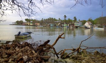 Según la institución han incrementado
