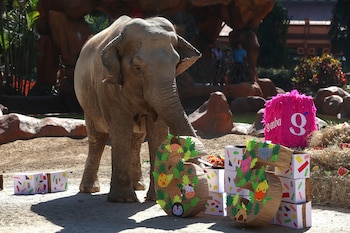 FOTODELDÍA CIUDAD DE GUATEMALA (GUATEMALA),