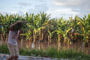 Una emergencia que deja a
