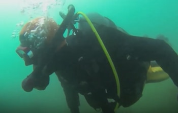 Un buzo equipado con traje negro, máscara y tanque de aire nada sumergido en agua de tono verdoso