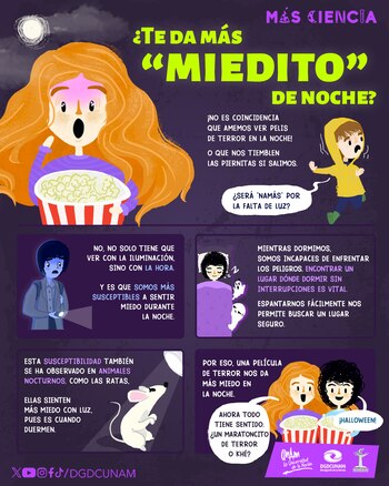 Hay una razón por la que sentimos más miedo al ver películas de terror durante la noche