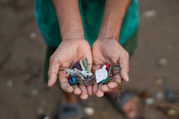 El estudio destaca la falta
