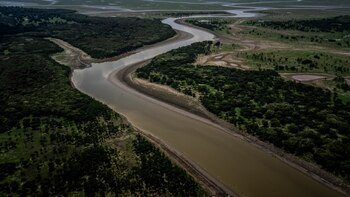 FAO insiste en una colaboración