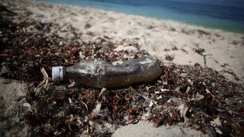 En el Caribe se firmaron acuerdos para reducir la basura en playas y promover el reciclaje