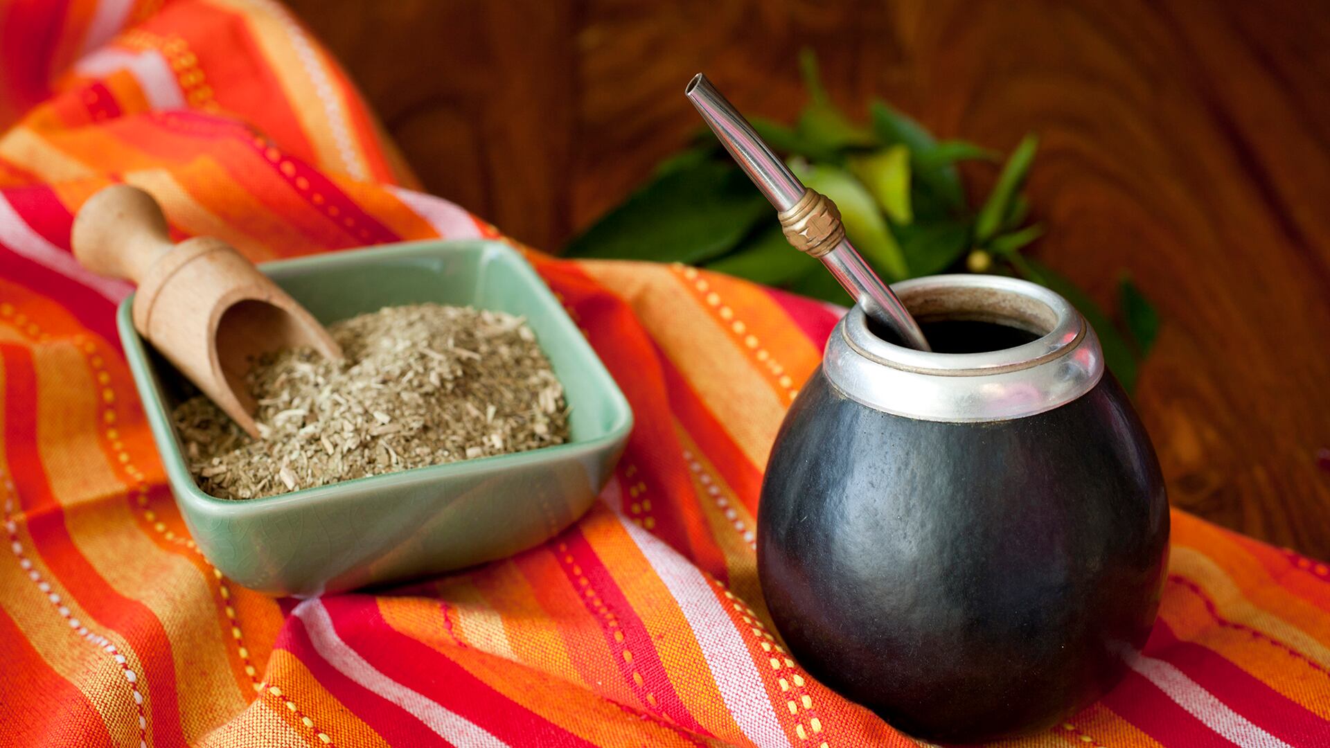 La Fiesta Nacional e Internacional de la Yerba Mate en Apóstoles reúne a productores, empresas y visitantes de Argentina, Brasil y Paraguay (Getty)