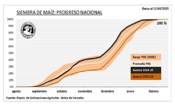 La siembra de maíz con