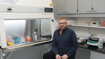 Cómo la galectina 1 revolucionó