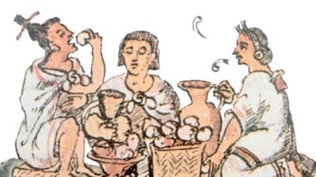 Conoce las bebidas y las