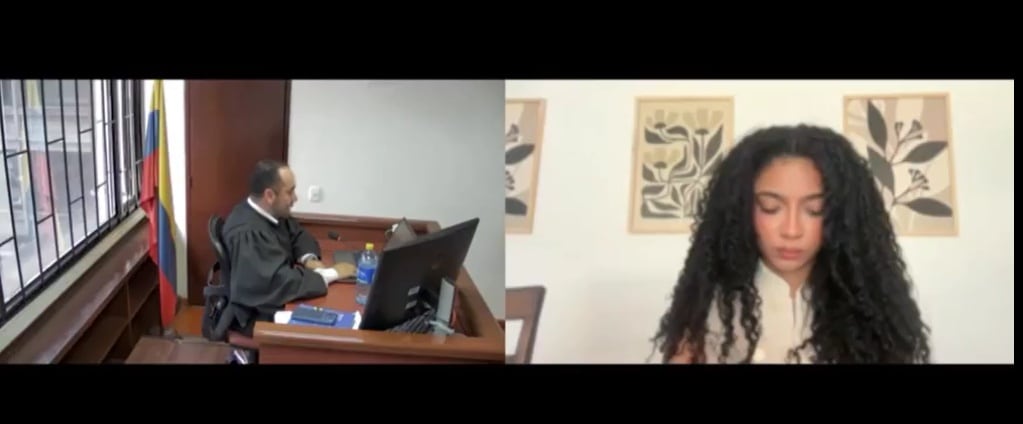 El juez destacó que los documentos fueron presentados en el marco del proceso para aspirar al cargo de viceministra de las Juventudes, una posición que, según señaló, implica una alta responsabilidad frente al Estado - crédito Fiscalía