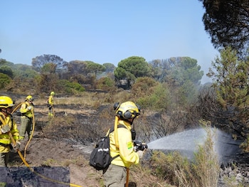 Los bomberos trabajan en el incendio declarado en Doñana este domingo. (Plan INFOCA/X)