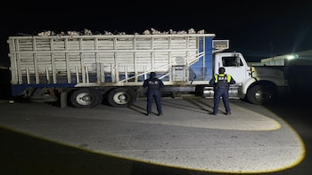 Aseguran toneladas de cebollas valoradas en medio millón de pesos en Guanajuato