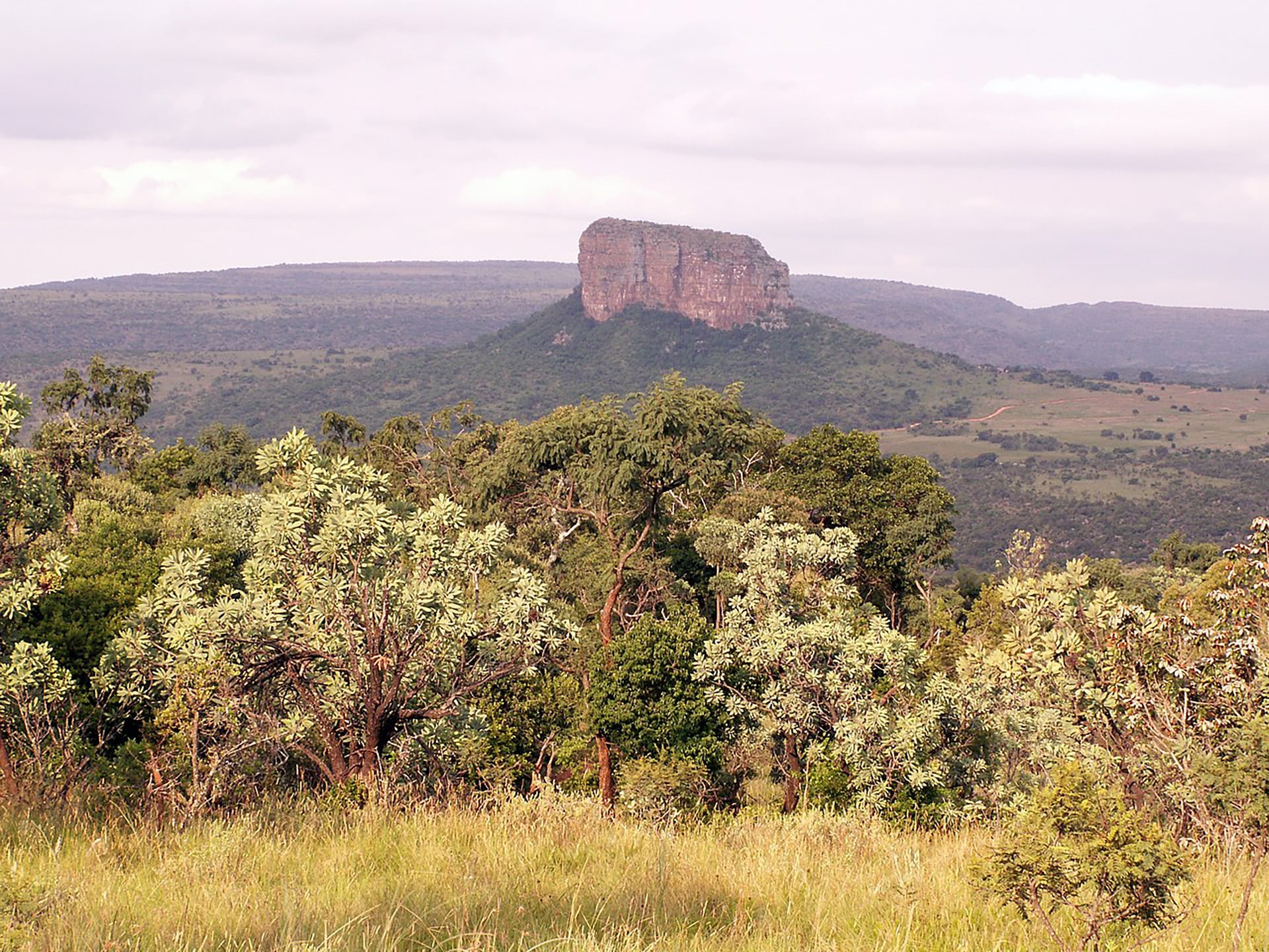 El Big Five Marathon permite correr junto a elefantes, jirafas y leones en la reserva Entabeni de Sudáfrica