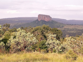 Vista panorámica de una montaña de cima plana (mesa) en el centro, rodeada de densa vegetación y árboles en primer plano, bajo un cielo cubierto