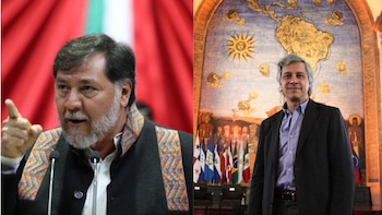 “They are rabid”: Fernández Noroña