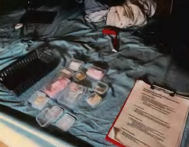 Productos incautados en la intervención de los mossos. (Mossos d