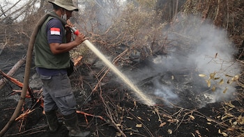 Al menos cuatro muertos por los incendios forestales en un parque nacional de Indonesia