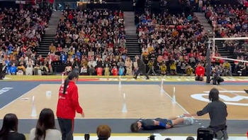 Le dio un pelotazo en