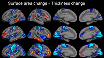 La tecnología podría allanar el