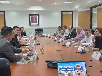 El Partido Liberal postula a