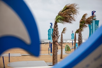 El viento mueve la copa