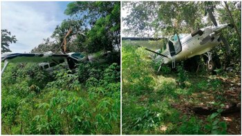 La entidad investiga para identificar