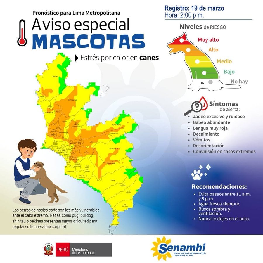 La mejor hora para sacar a pasear a las mascotas y evitar el estrés por calor en perritos, según Senamhi. (Foto: Senamhi)