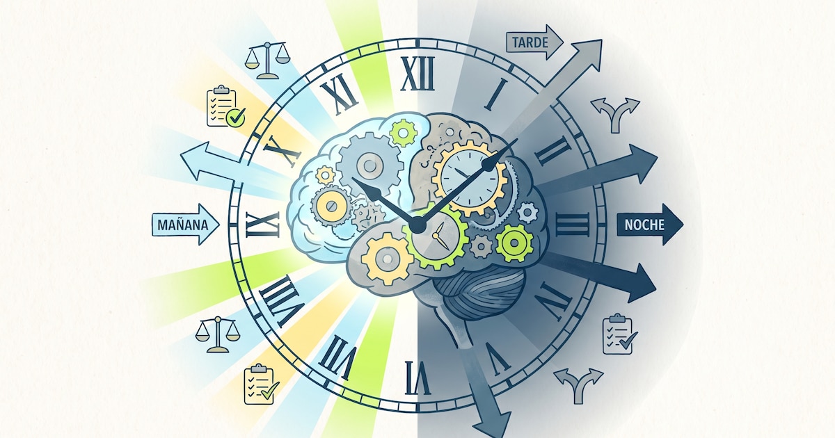 La ciencia encontró el momento del día en que el cerebro tomaría mejores decisiones