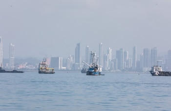 Barcos faenan en la bahía de Panamá, actividad que los científicos atribuyen a una clara señal de que el ruido de los motores puede interferir en la comunicación de los cetáceos. (MiAmbiente)